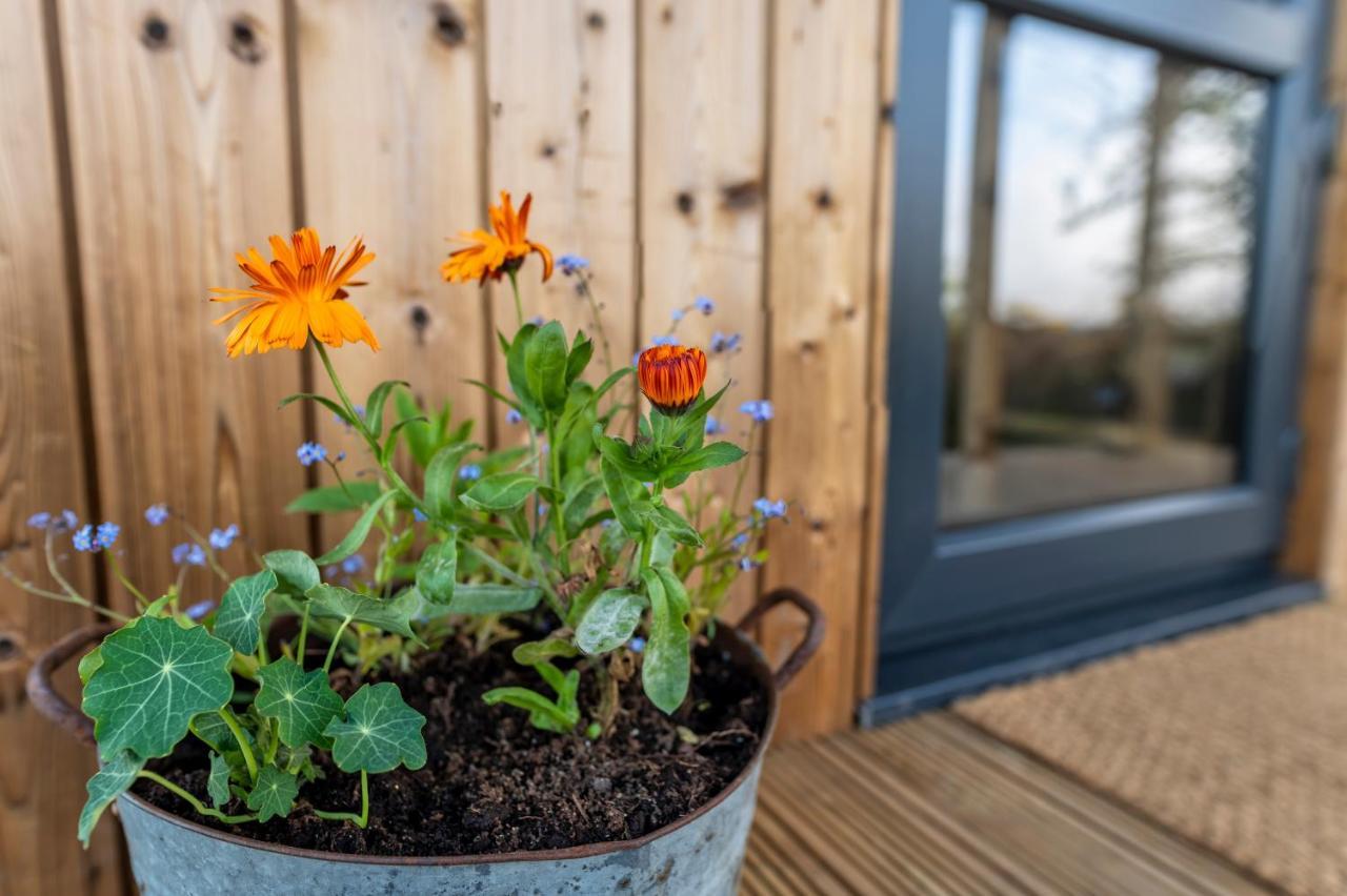 Luxury Glamping Cabin With Outdoor Bath On Cornish Flower Farm Truro Luaran gambar